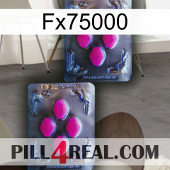 Fx75000 01